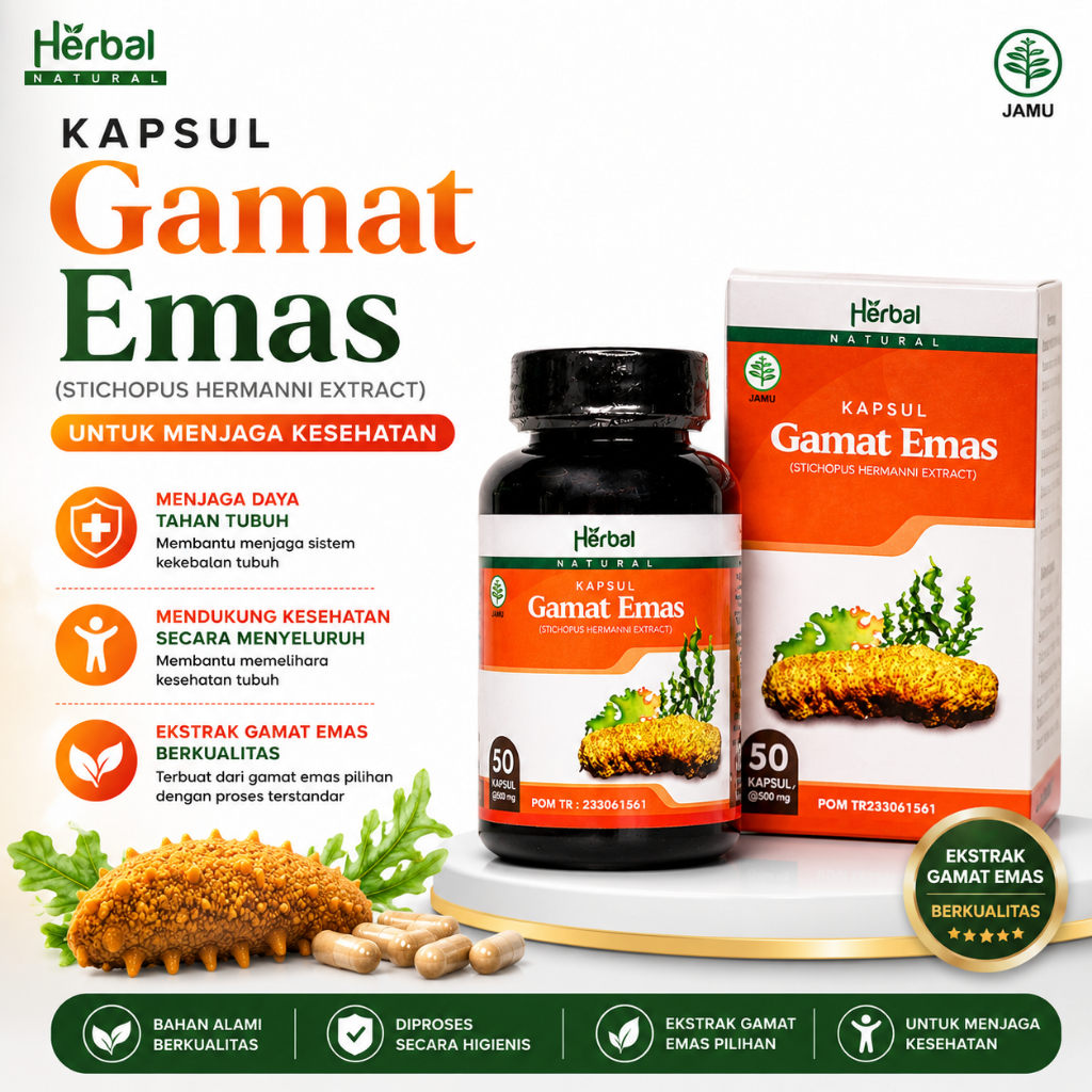 Kapsul Gamat Emas Original Isi 50 Kapsul Ekstrak Gamat Emas Premium
