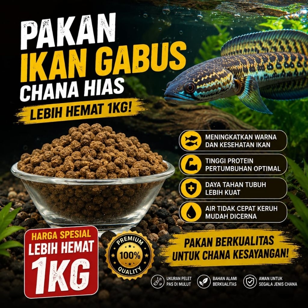 Pelet pakan ikan Gabus Chana apung super (1kg) makanan ikan Chana hias Gabus Hias