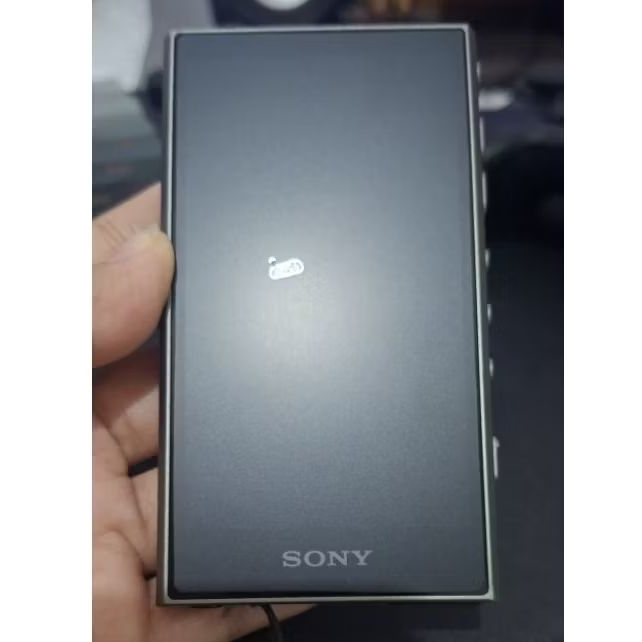 Sony Walkman NW-A306