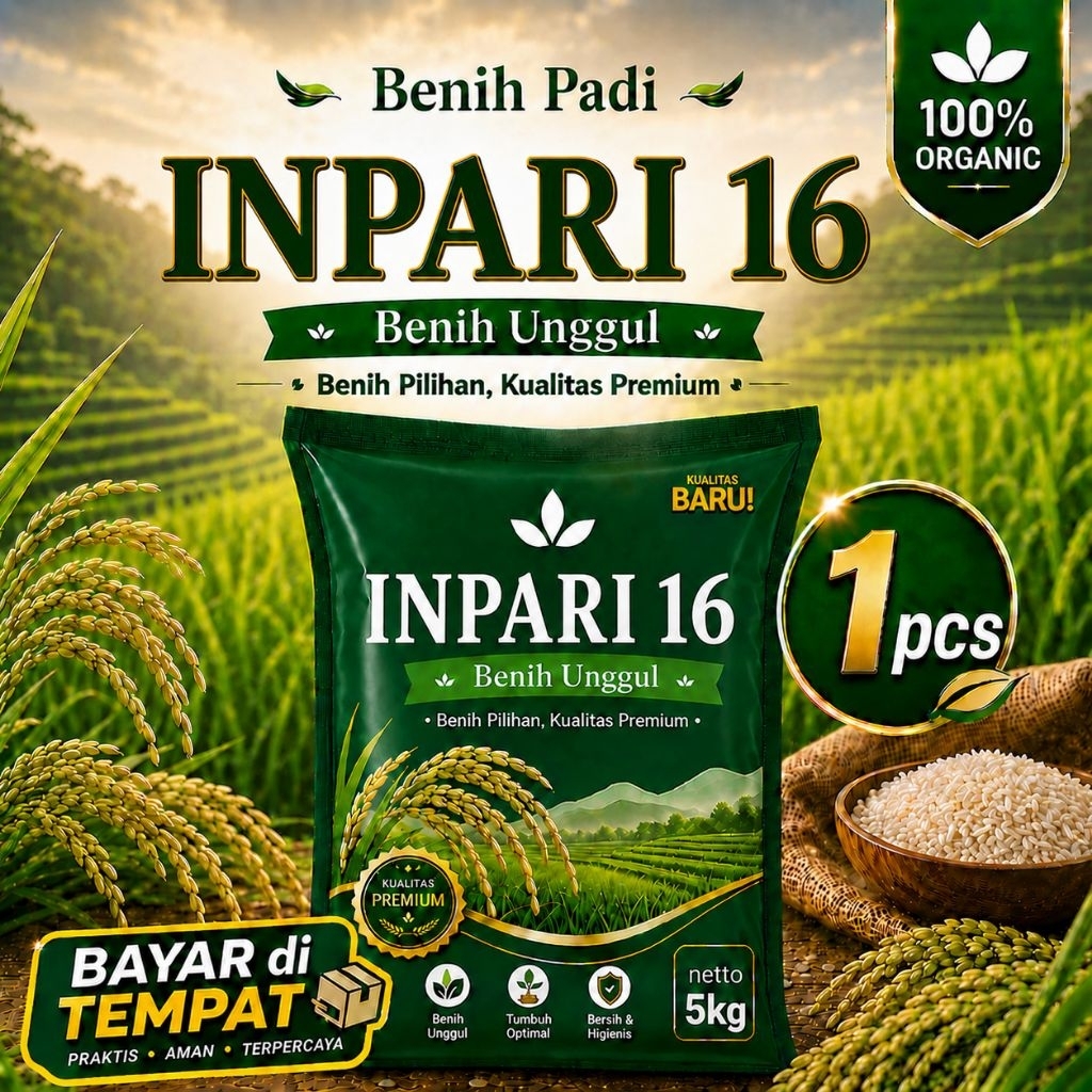 BENIH PADI UNGGUL PREMIUM INPARI 16 KEMASAN 5KG BERKUALITAS