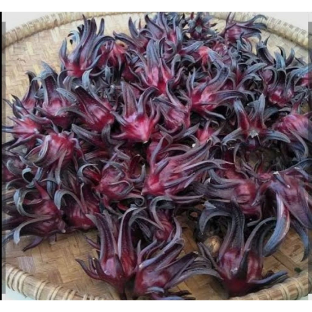 1kg Rosela Ungu/ Teh bunga Rosela Ungu kemasan 1kg