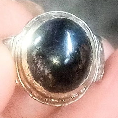 Bacan Hitam Coklat Tembaga
