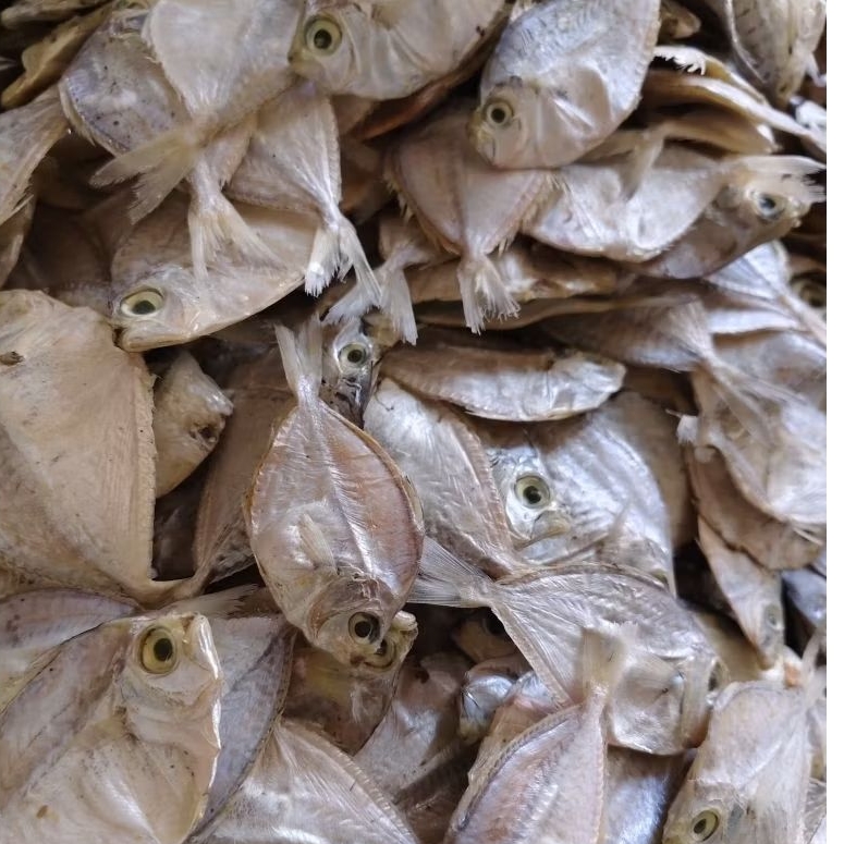 ikan asin petek/pirik kering