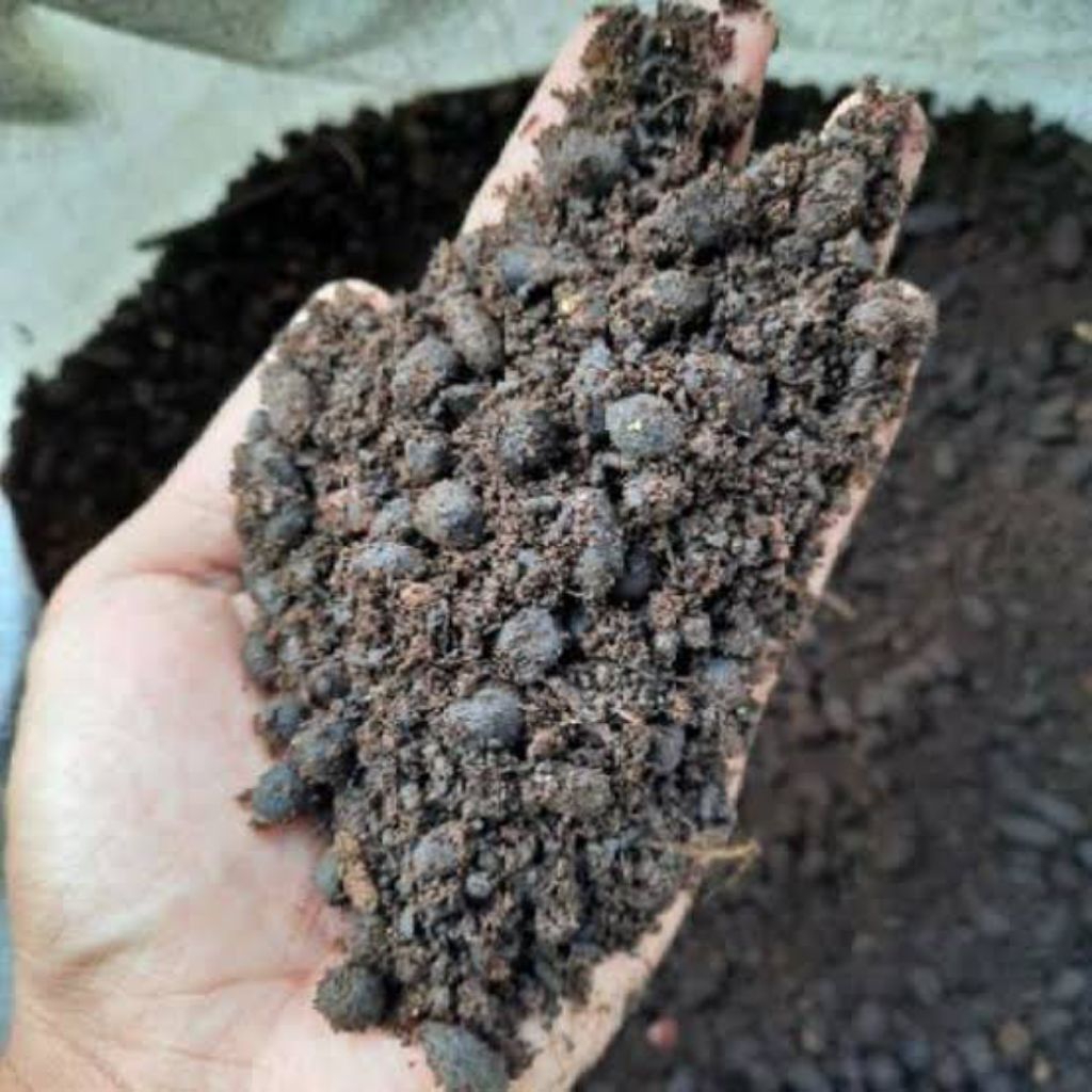 PUPUK KOTORAN KAMBING