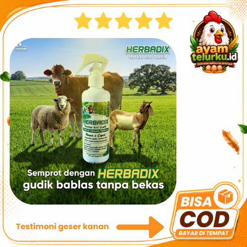 Herbadix Obat Gudik Kambing Luka Anjing Scabies Gatal untuk Sapi Kambing Ampuh Original
