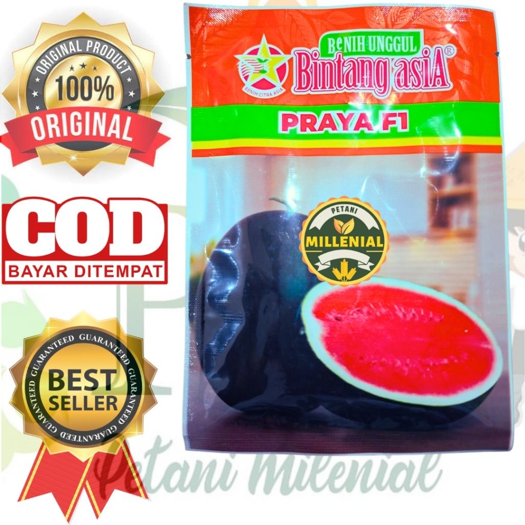 PRAYA F1 _ Benih Semangka Praya 20 gram - Bibit semangka blackred bulat merah berbiji