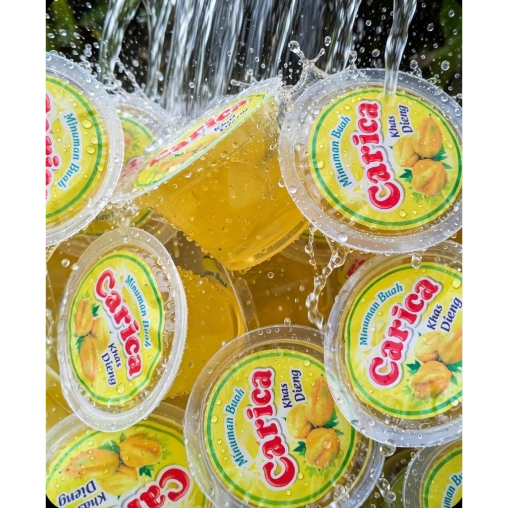 ManisanCarica/caricadieng/MinumanCarica/oleholehwonosobo/carica