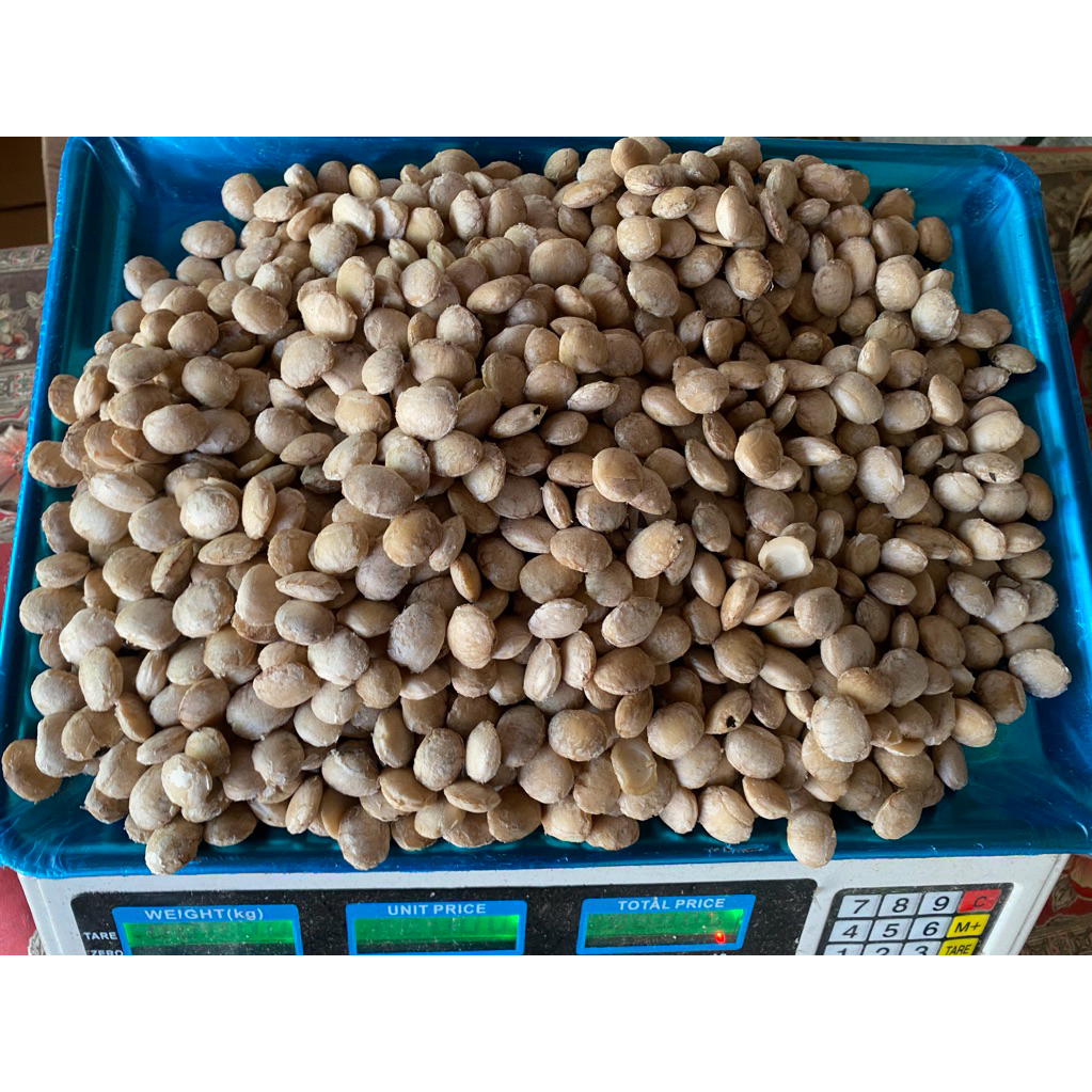 Inchakey-1 kg kacang sacha inchi kupas bersih tanpa cangkang siap goreng