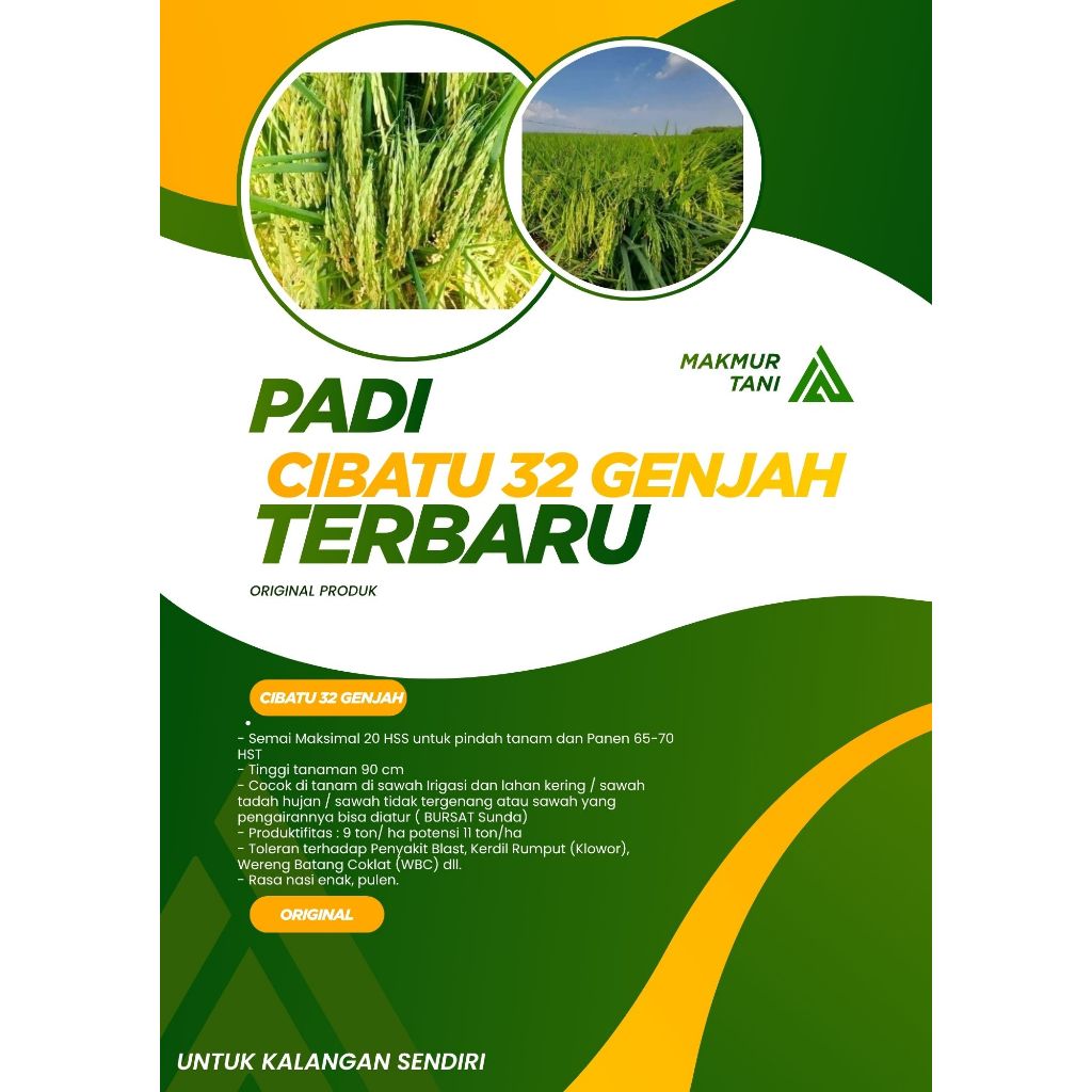 PADI CIBATU 32 SUPER KEMASAN 1 KG