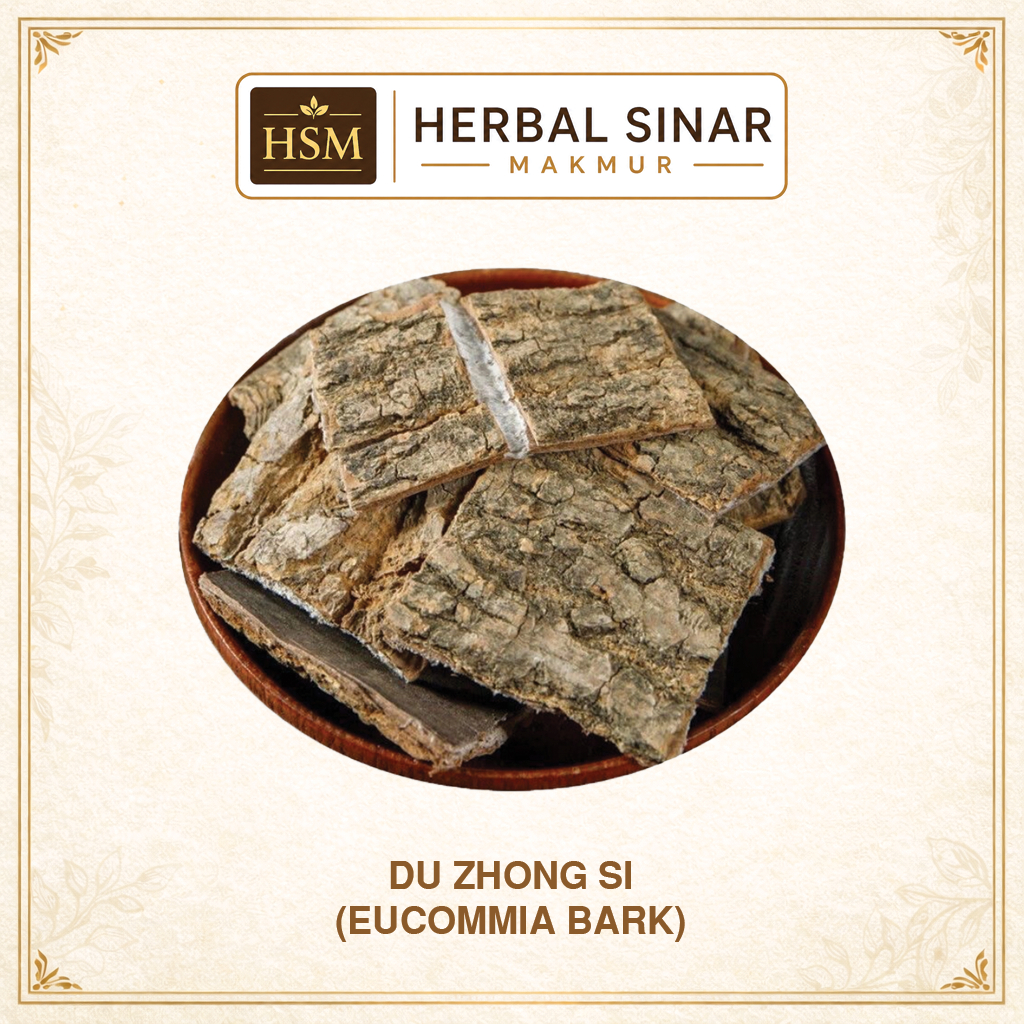 Du Zhong Si (Tebal) / Irisan Kulit Kayu Du Zhong / Eucommia Bark - Herbal Penguat Ginjal, Pinggang &