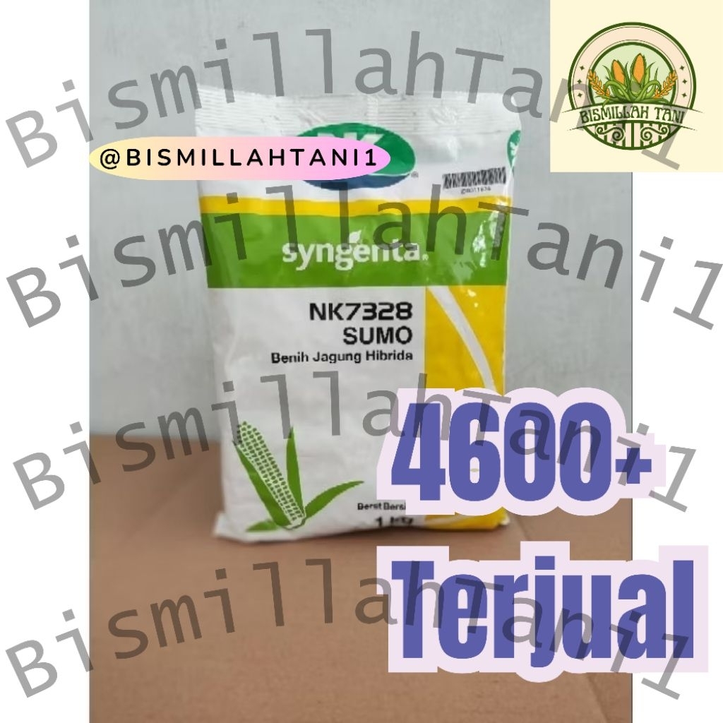 Benih Jagung Sumo 1 kg - Bibit Jagung Sumo 1kg - NK 7328 Sumo Reguler