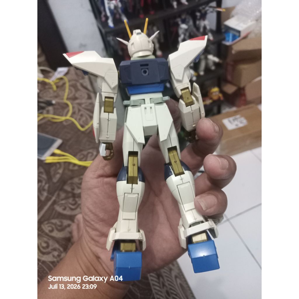 Strike Freedom 1/100 junk body only