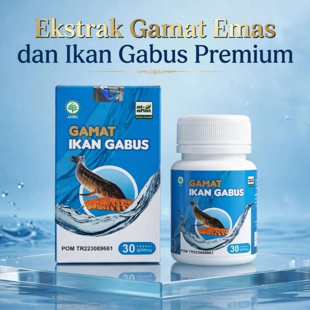 Kapsul Gamat plus Ikan Gabus