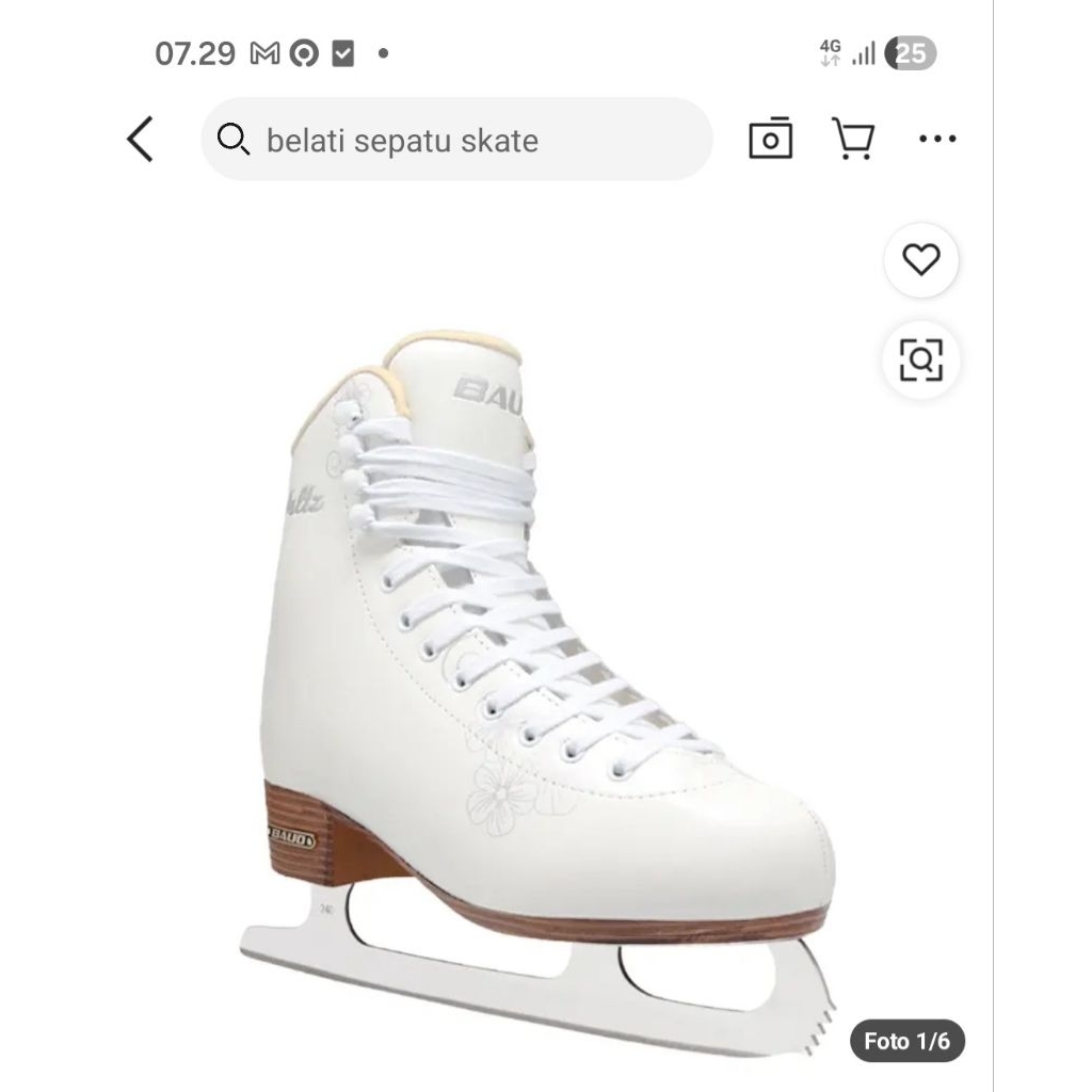 ice skating shoes