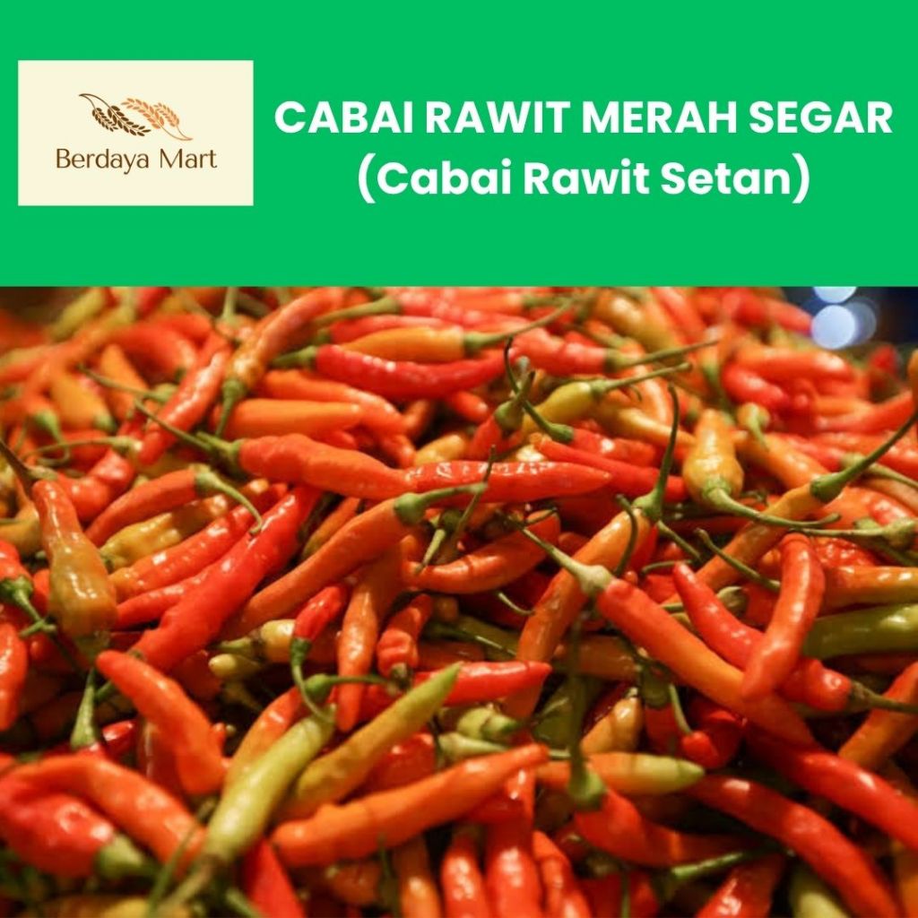 Cabai Rawit Merah Pedas Segar (Cabe Setan) - 1Kg