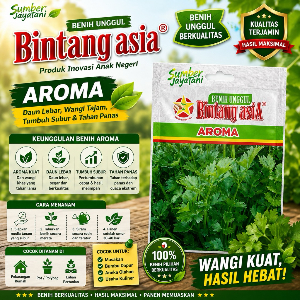 bibit daun seledri aroma bintang asia