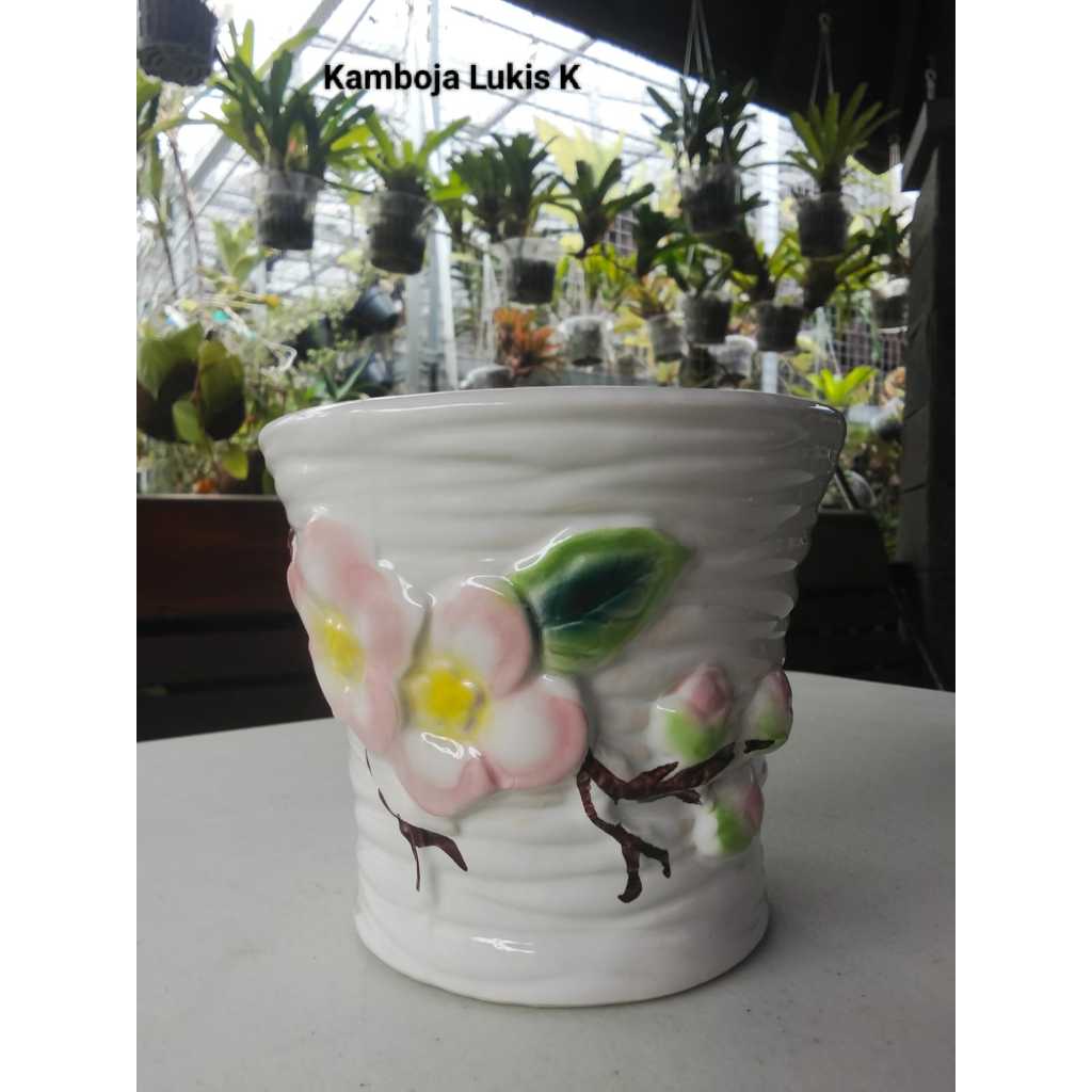 KAMBOJA LUKIS - Vas bunga