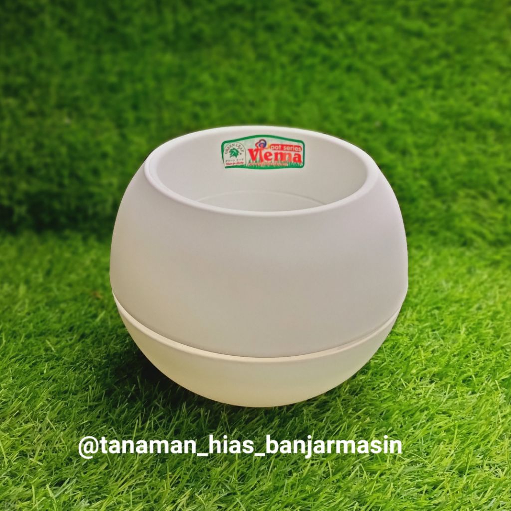 pot bola vienna