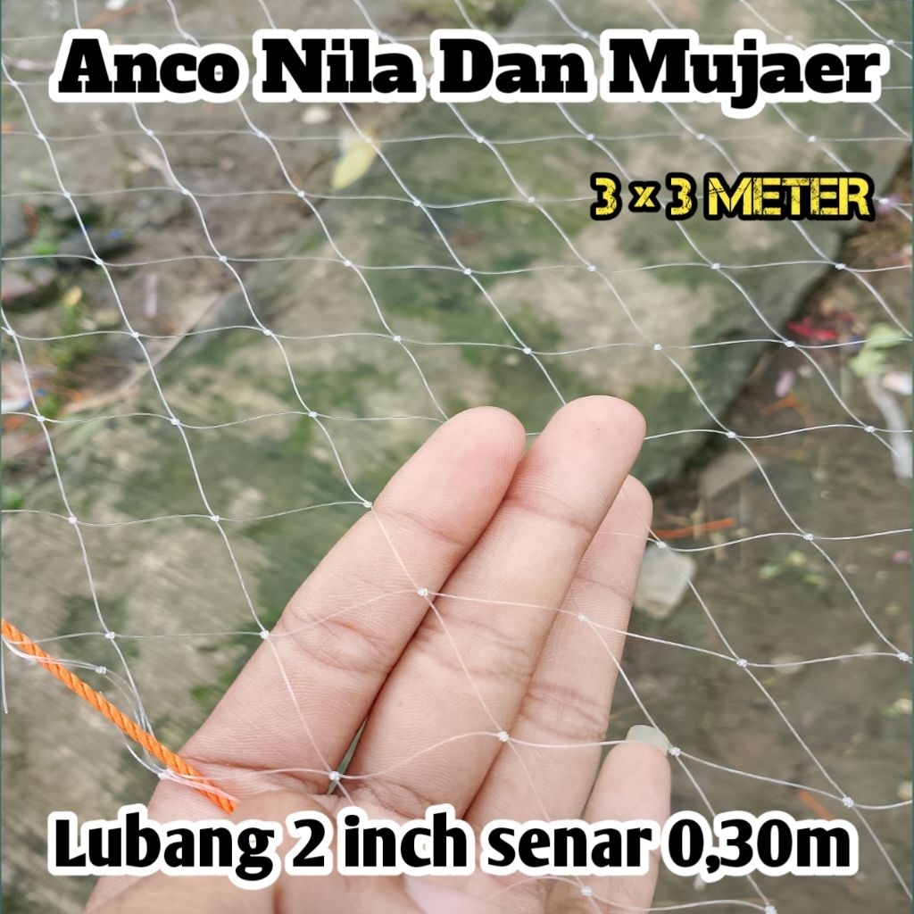 jaring Anco nila mujaer 2 in senar 0,30mm ukuran jaring 3×3 meter persegi. hancau ikan, tangkul ikan