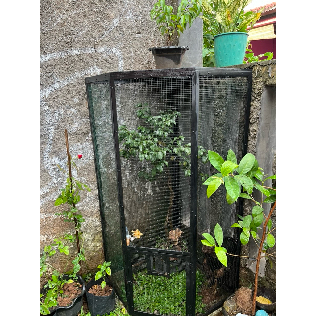 mini aviary