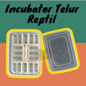 Incubator Telur Reptile Kapasitas 16 Butir inkubator Telur Reptil Incubator Telur Gecko Inkubator