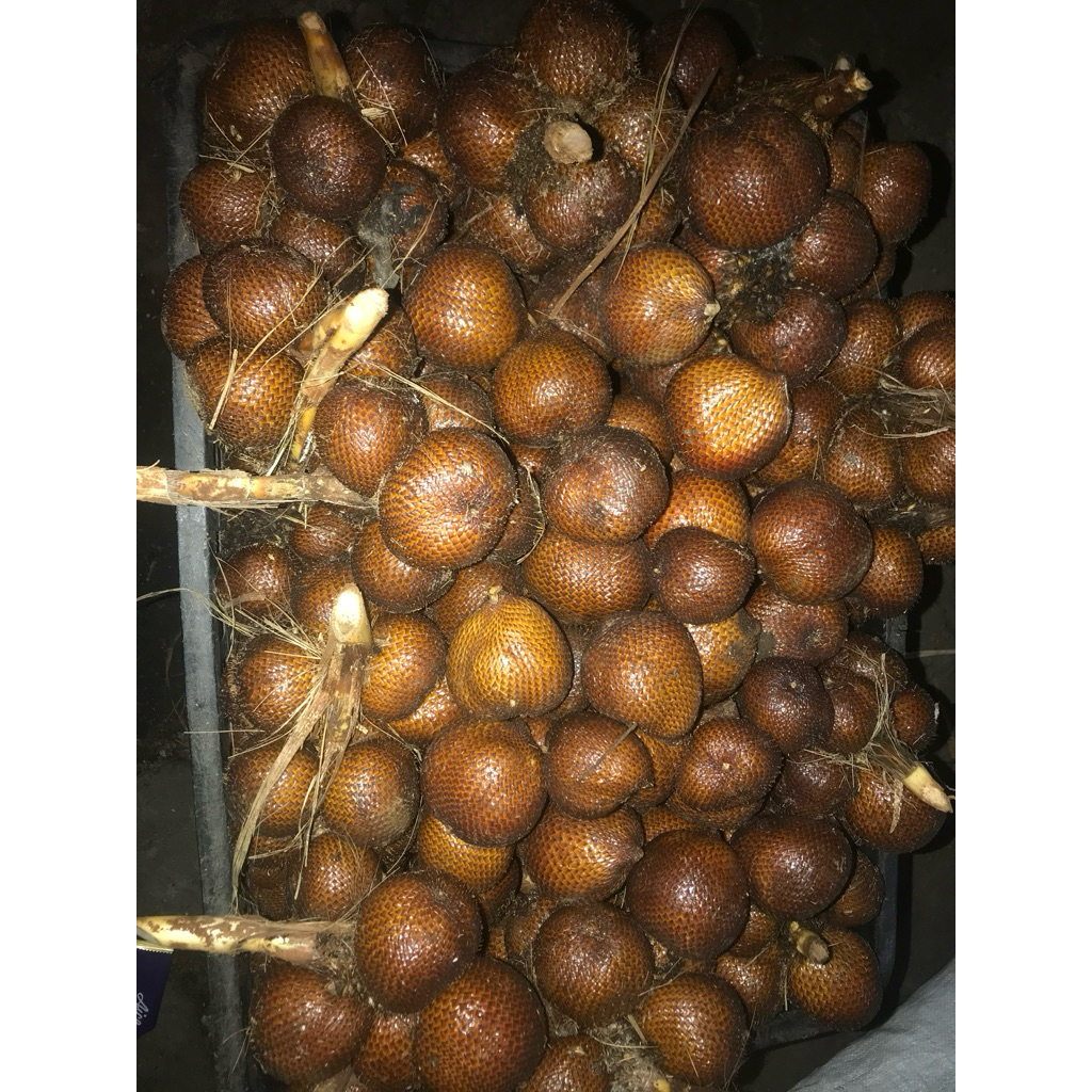 salak gula pasir asli bali