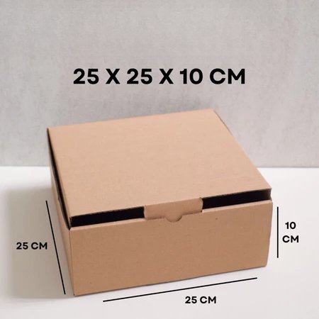 Box Kardus Karton Packaging Kardus Packing Polos 25x25x10 cm