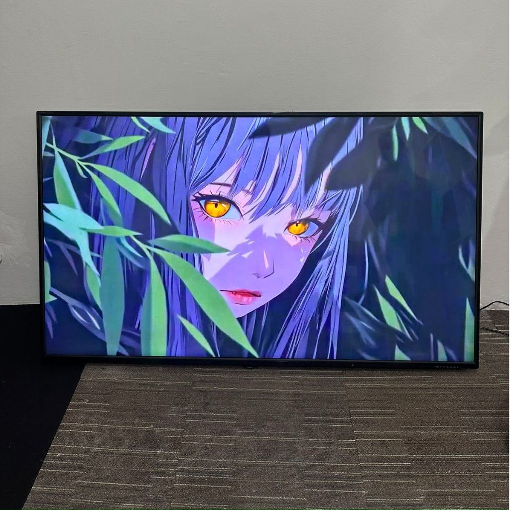 TV Philips 65 Inch PFTS 250-98 Second Original