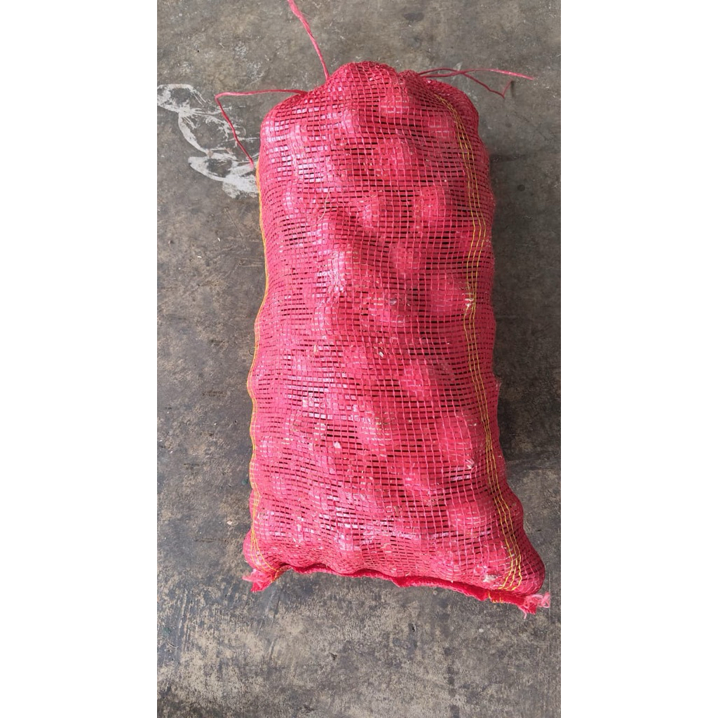Bawang Merah India 1 Karung / 10KG