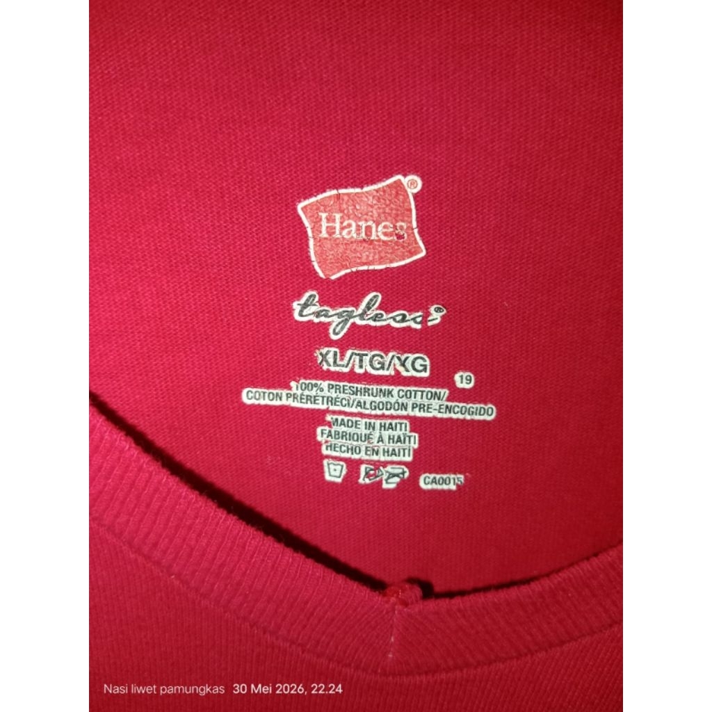 Blank Tee Hanes