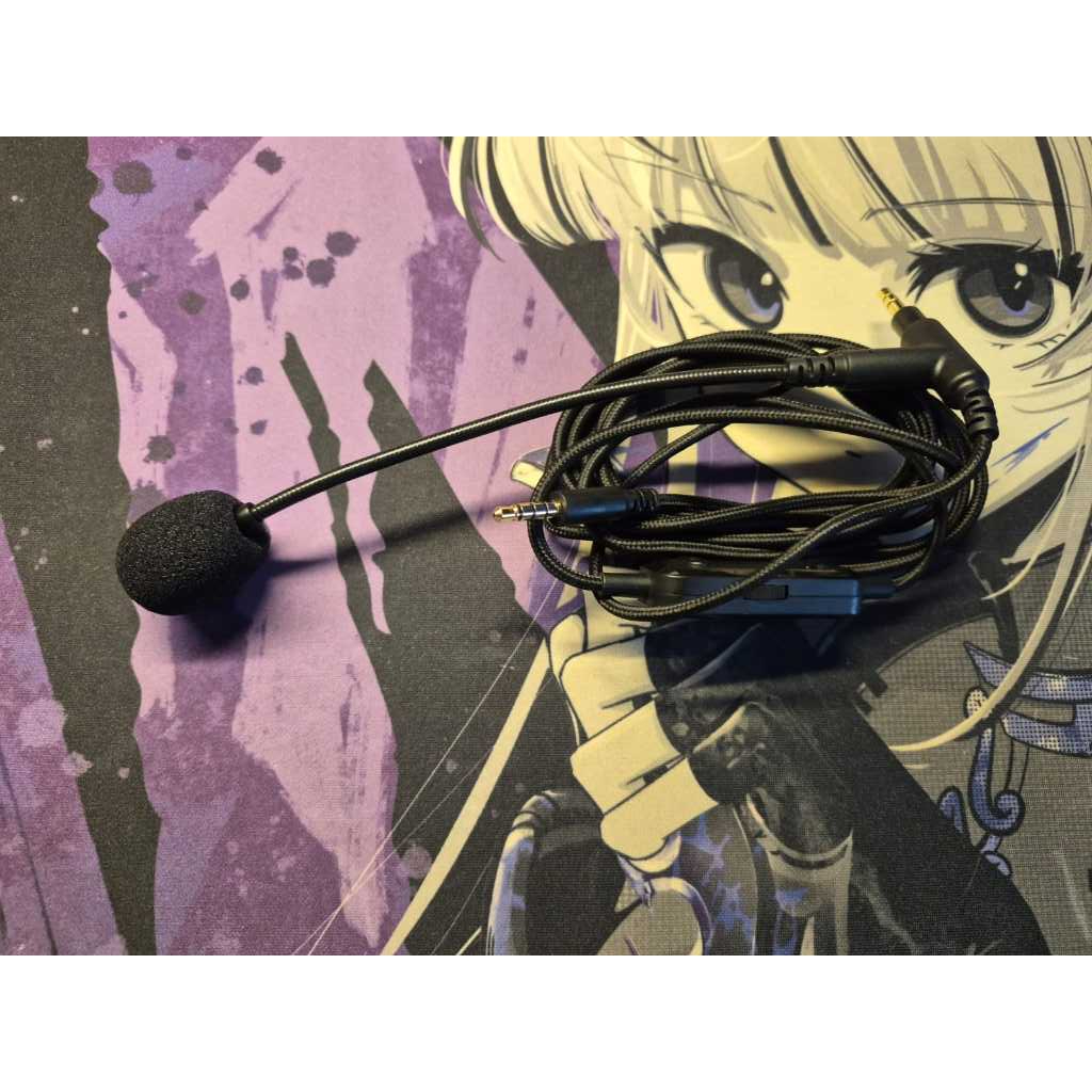 dbE BM100 Boom Microphone
