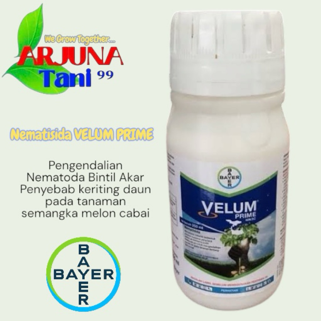 VELUM PRIME 100ML