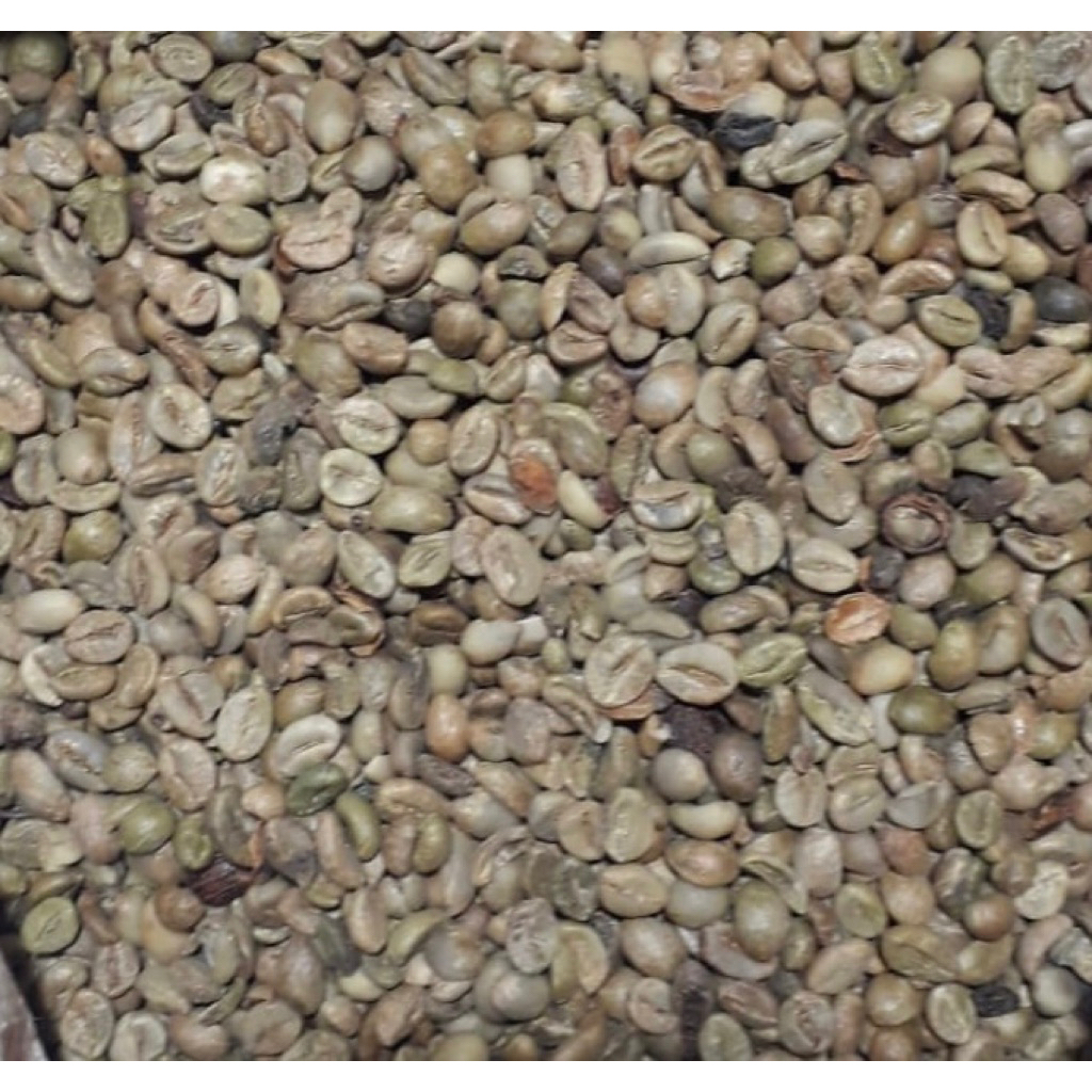 green beans Grade 2 robusta/asalan