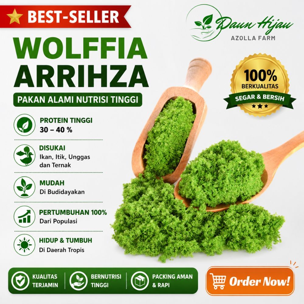 Bibit Wolffia Super 1kg (Wolffia + Media Air) Siap Budidaya Aman Pengiriman