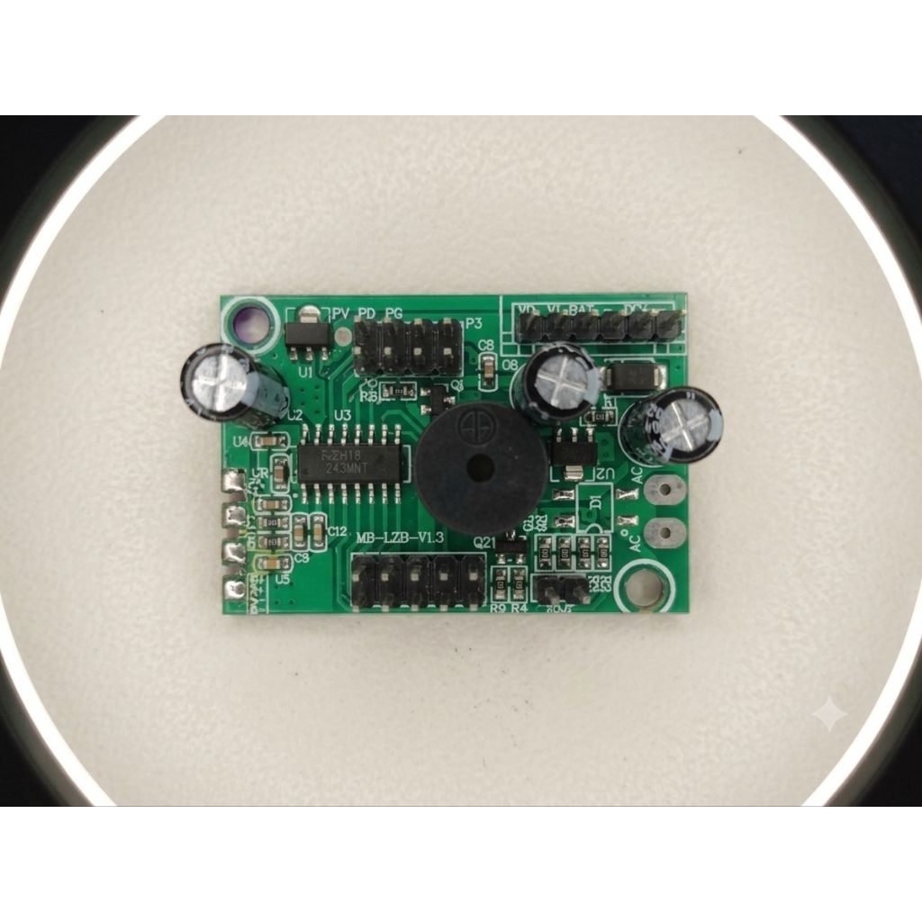 PCB BOARD TIMBANGAN DIGITAL 5 Arus NON TRAVO, 40kg/60kg/100kg/150kg Model Socket