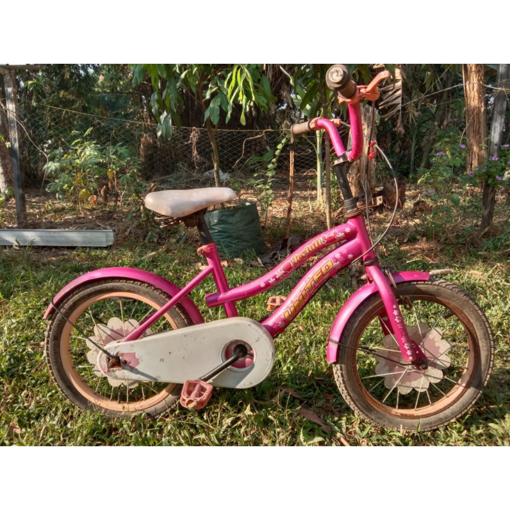 preloved sepeda anak united joyfull