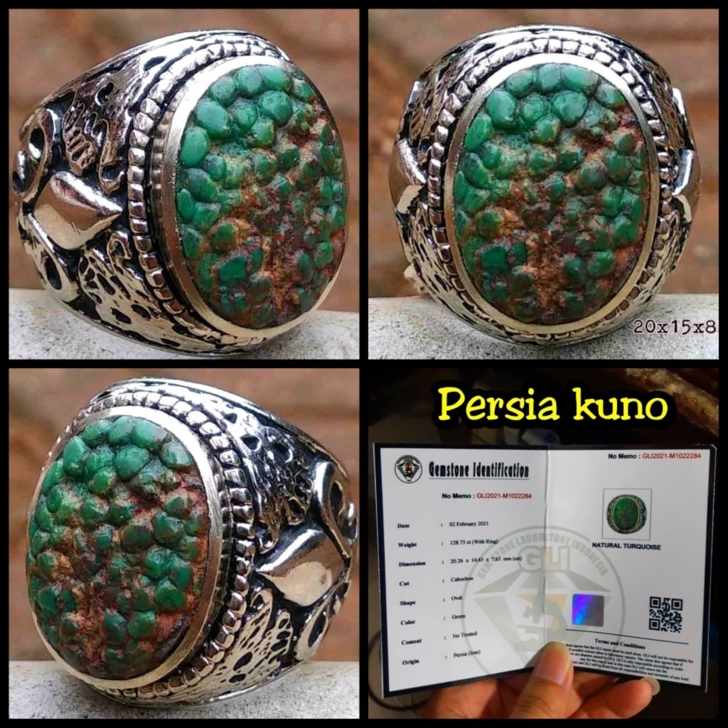 pirus kerikilan persia iran asli kelas kontes + memo lab