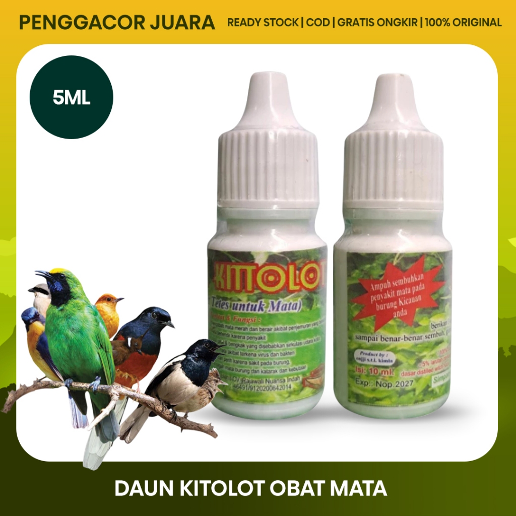 Daun Kitolot 5ml Obat Mata Burung Iritasi Katarak Snot Lovebird Murai Kacer