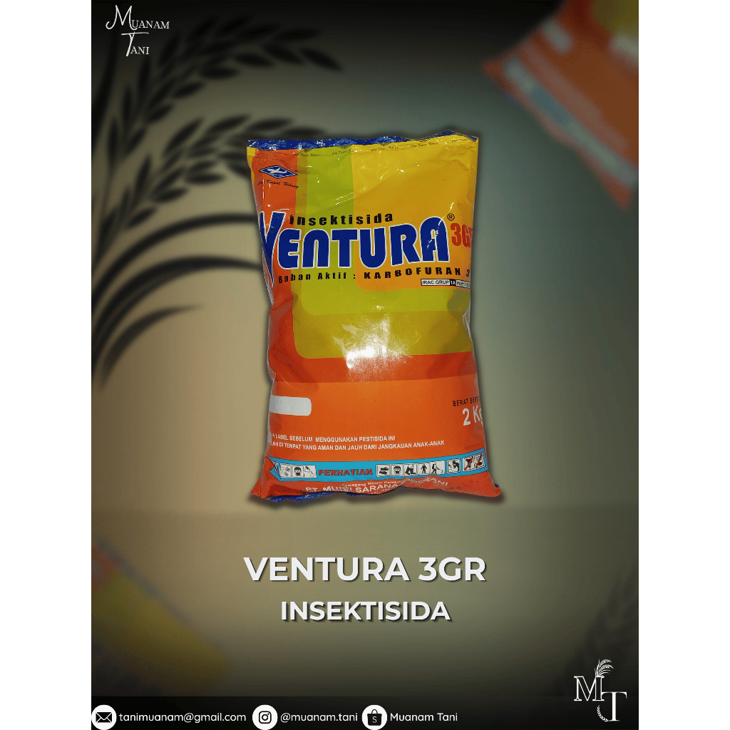 VENTURA 3 GR 2 KG INSEKTISIDA / Insektisida Ventura
