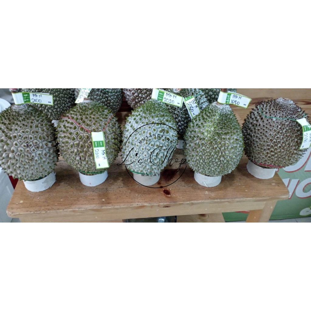 Durian Musangking utuh Frozen