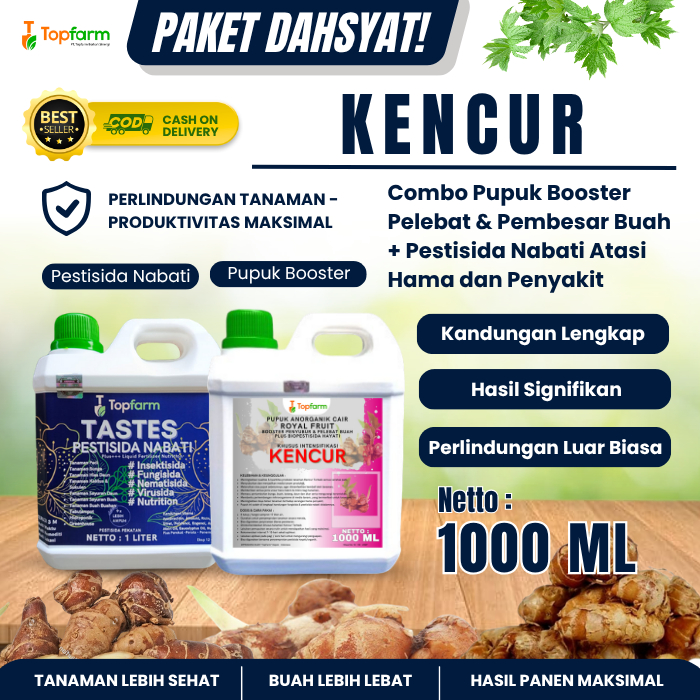 Pupuk Tanaman Kencur / Obat Jamur Daun Kencur / Pupuk Topfarm / Pupuk Pelebat Buah Kencur