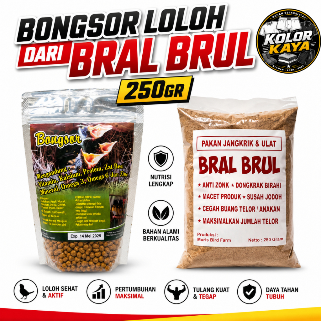 SEDIA BONGSOR LOLOH DARI BRAL BRUL PELET PAKAN MAKANAN LOLOHAN PIYIK ANAKAN BURUNG MURAI KACER WAMBI