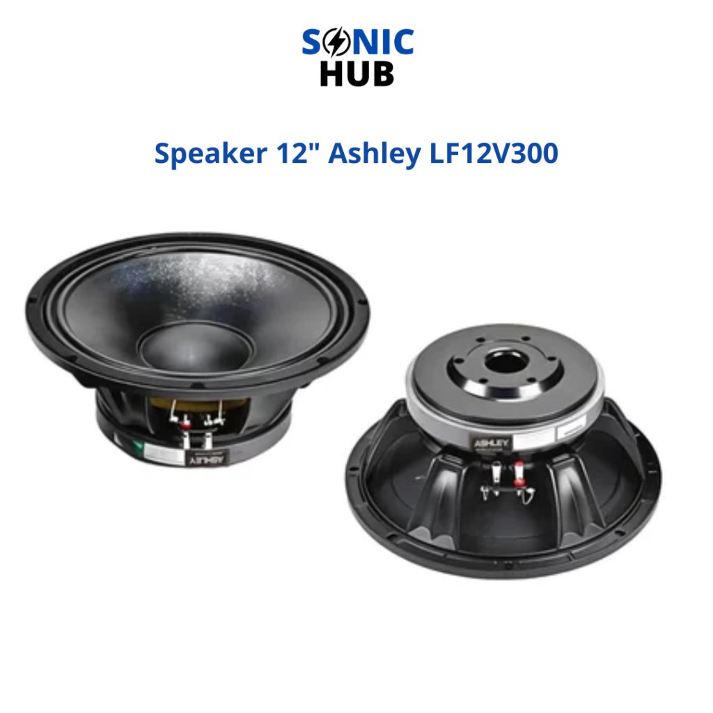 Speaker 12 Inch Ashley LF12V300