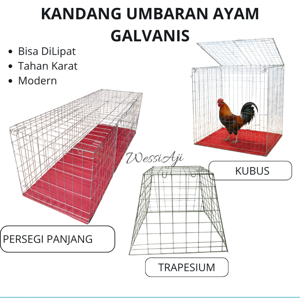 Kandang Umbaran Ayam  Murah Bahan Galvanis