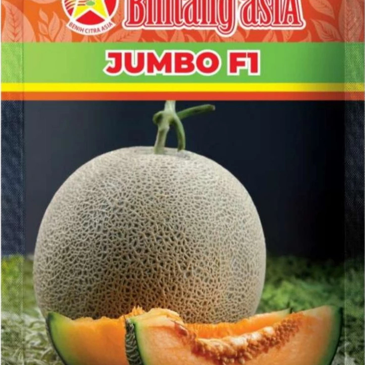 Benih Bibit Melon JUMBO F1 dari Bintang Asia 20 gram