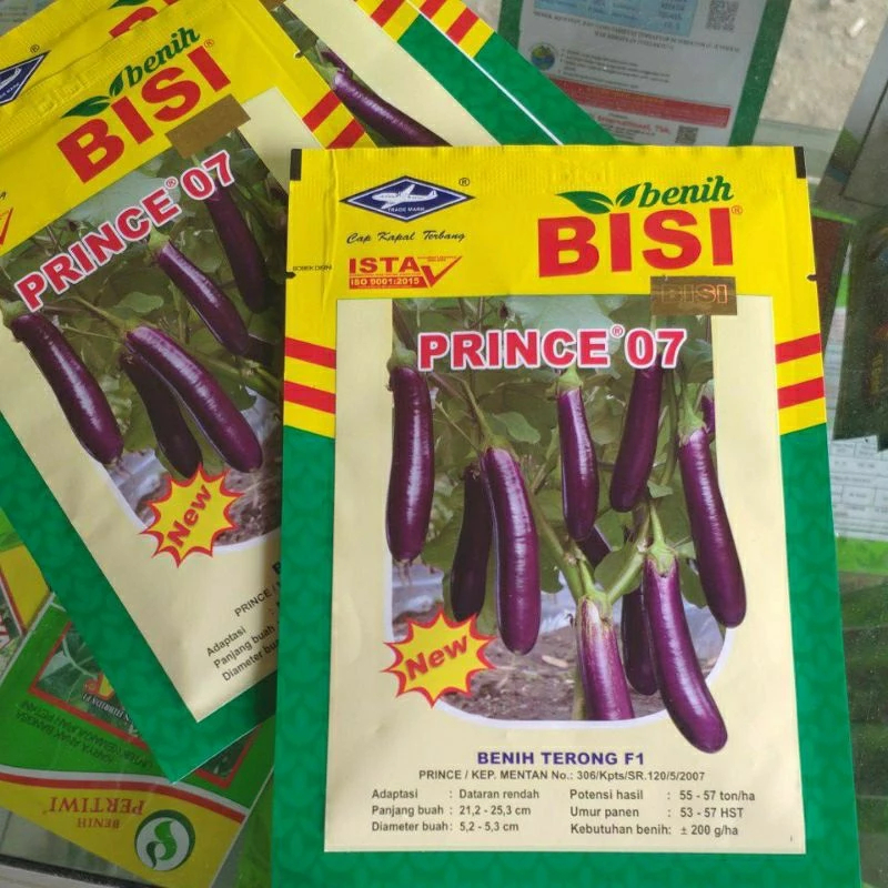 BENIH BIBIT TERONG NEW PRINCE 07 - 10 GRAM TERONG UNGU CAP KAPAL TERBANG PRINCE EPA
