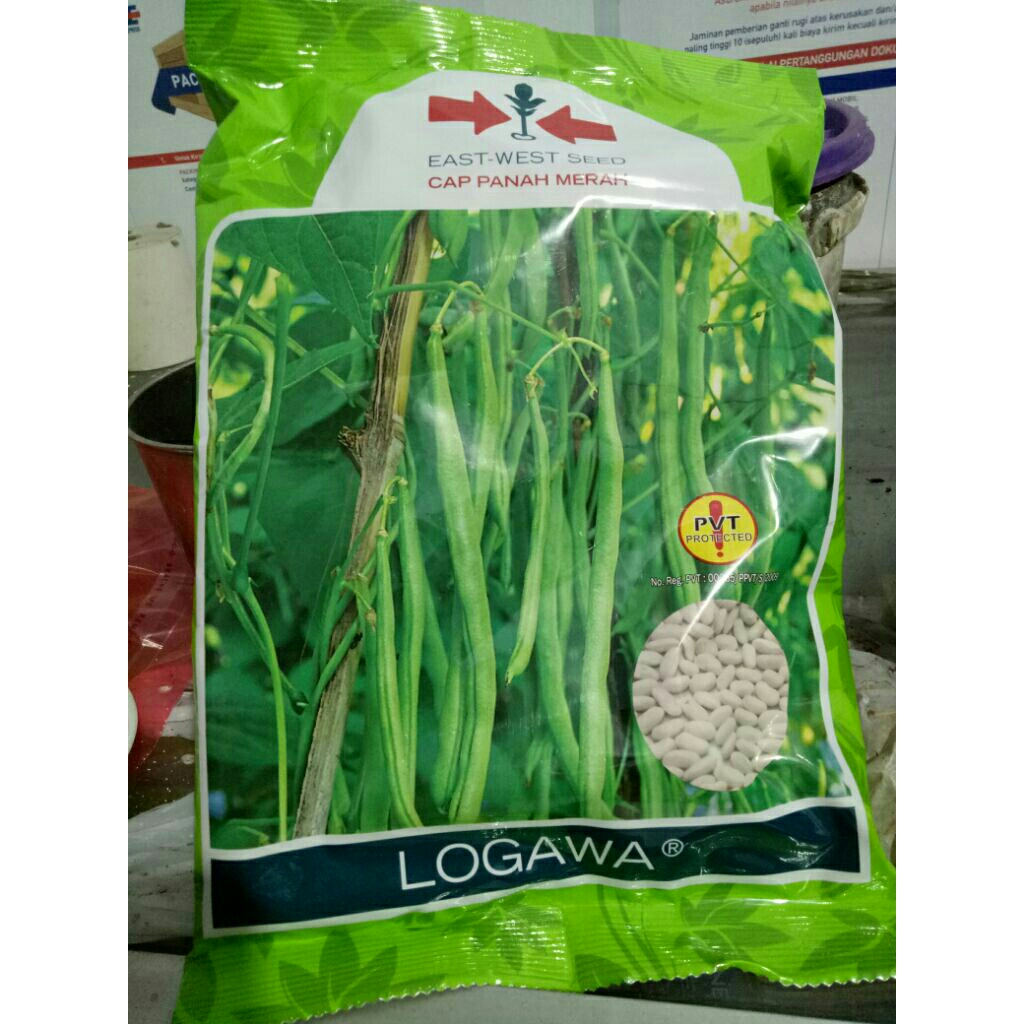 benih unggul buncis LOGAWA ISI 500 GRAM