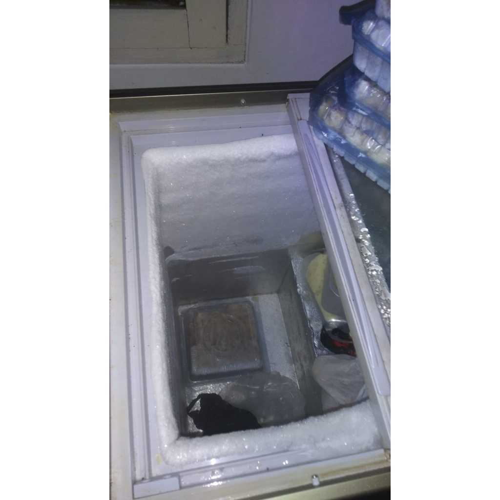 FREEZER RSA 100L + KULKAS MINIBAR DAEWOO (EX JUALAN DIMSUM) KHUSUS KOTA BANDUNG DAN SEKITARNYA YAAA