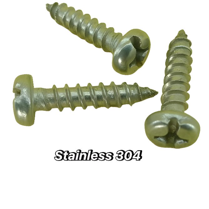 Ph #12x1 stainless 304 Tapping Screw Skrup Kepala Bulat jp PAB 5.5x25