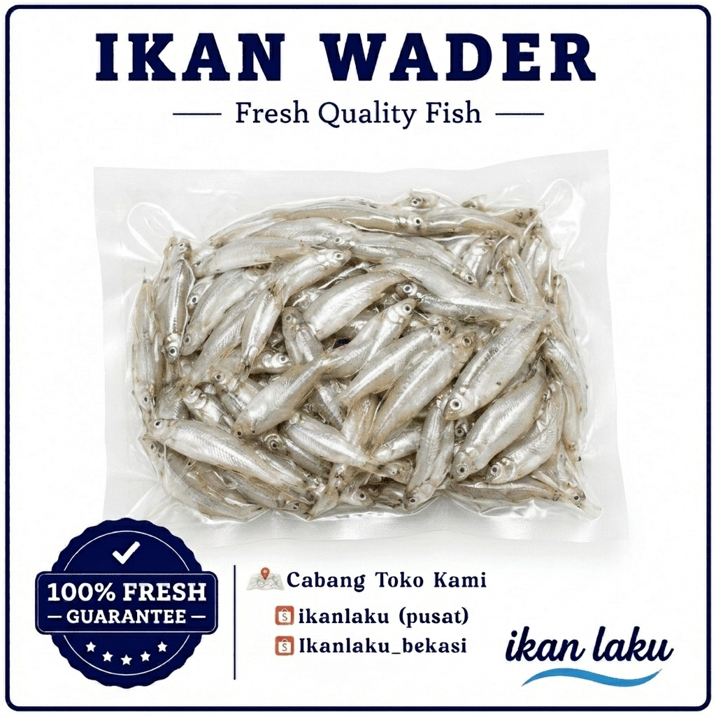 Ikan Laku – Ikan Wader Segar 1kg – Fresh Frozen Baby Fish Premium
